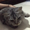 (Kategori: ) berada di . Dikirim oleh thytathyta (ID iklan 1377368298, Gambar 1). Deskripsi: .