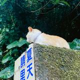 (Category: ) located in . Submitted by reibina (Listing ID 1235902800, Image 1). Description: .