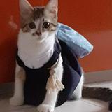 (Category: ) located in . Submitted by user._aqid (Listing ID 1379233805, Image 1). Description: .