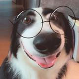 （分類：）位於 。 由 ah._.928 提交（商品編號 1381621553，圖片 1）。簡介： 。