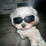 （分類：）位於 。 由 shm0_0 提交（商品編號 1352469754，圖片 1）。簡介： 。