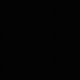 (Category: ) located in . Submitted by gulf2 (Listing ID 1309961855, Image 1). Description: .