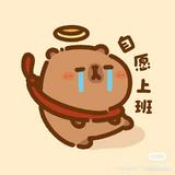 由 jieyou7 (刊登 ID 1384933852，圖片 1) 提交，位於 的 (類別：)，說明：。