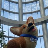 (Category: ) located in . Submitted by pororo176 (Listing ID 1448648410, Image 1). Description: .
