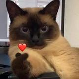 (Category: ) located in . Submitted by hetiria89 (Listing ID 1310172935, Image 1). Description: .
