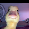 (Category: ) located in . Submitted by coolkid13271 (Listing ID 1469921989, Image 1). Description: .