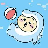 由 hasebie (刊登 ID 1273259983，圖片 1) 提交，位於 的 (類別：)，說明：。