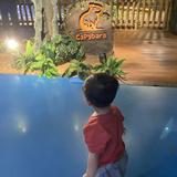 (Kategori: ) berada di . Dikirim oleh barangpakesendiri (ID iklan 1354946593, Gambar 1). Deskripsi: .