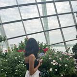 (Category: ) located in . Submitted by dani.syah (Listing ID 1311018718, Image 1). Description: .