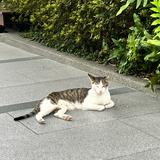 (Category: ) located in . Submitted by br12345 (Listing ID 1311441224, Image 1). Description: .