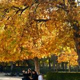(Category: ) located in . Submitted by forthalia (Listing ID 1385013966, Image 1). Description: .