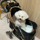由 qoo200257 (刊登 ID 1347609359，圖片 1) 提交，位於 的 (類別：)，說明：。