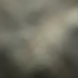 (Category: ) located in . Submitted by ruccki (Listing ID 1265629029, Image 1). Description: .