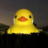 由 cchlala (刊登 ID 1361886991，圖片 1) 提交，位於 的 (類別：)，說明：。