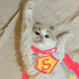 (Category: ) located in . Submitted by sgcardshop (Listing ID 1359415028, Image 1). Description: .