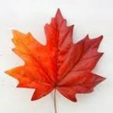 (Category: ) located in . Submitted by red-maple-shop (Listing ID 1382679680, Image 1). Description: .