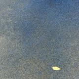 (Category: ) located in . Submitted by ypm1721 (Listing ID 1379053909, Image 1). Description: .