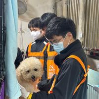(分類:)位於 。 由 silvereagle_be1c52 提交(商品編號 1459241836,圖片 1)。簡介: 。
