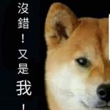（分類：）位於 。 由 gogopower112 提交（商品編號 1248819360，圖片 1）。簡介： 。