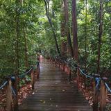 (Category: ) located in . Submitted by jgxiqmkf02420 (Listing ID 1375905644, Image 1). Description: .
