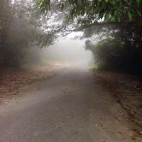 (Category: ) located in . Submitted by leelayche15480 (Listing ID 1252398331, Image 1). Description: .