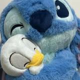 （分類：）位於 。 由 skchan_ 提交（商品編號 1237099800，圖片 1）。簡介： 。
