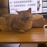 (分類:)位於 。 由 wilsoncheng1130 提交(商品編號 1461352754,圖片 1)。簡介: 。