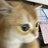 （分類：）位於 。 由 abcdefg.1. 提交（商品編號 1372595806，圖片 1）。簡介： 。