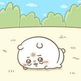 （分類：）位於 。 由 hkgykkk 提交（商品編號 1379262033，圖片 1）。簡介： 。