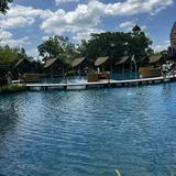 (Category: ) located in . Submitted by annphil (Listing ID 1362476245, Image 1). Description: .