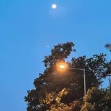 （分類：）位於 。 由 sell.my.life 提交（商品編號 1360833723，圖片 1）。簡介： 。