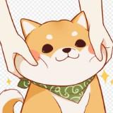由 happyfree0111 (刊登 ID 1381475488，圖片 1) 提交，位於 的 (類別：)，說明：。