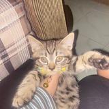 (Category: ) located in . Submitted by isyunn (Listing ID 1456880672, Image 1). Description: .