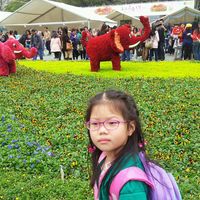 (分類:)位於 。 由 kwokying9 提交(商品編號 1465010191,圖片 1)。簡介: 。