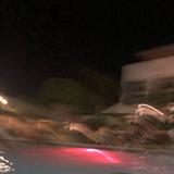 (Category: ) located in . Submitted by by_ena (Listing ID 1381210734, Image 1). Description: .