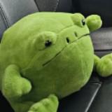 (Category: ) located in . Submitted by hoppypotato (Listing ID 1378291377, Image 1). Description: .