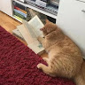 (分類:)位於 。 由 messiiiiiiiii 提交(商品編號 1455628633,圖片 1)。簡介: 。