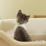 由 moonnn__ (刊登 ID 1376718017，圖片 1) 提交，位於 的 (類別：)，說明：。
