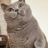 （分類：）位於 。 由 skysun_0220 提交（商品編號 1378841241，圖片 1）。簡介： 。