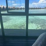 (Category: ) located in . Submitted by carinefast30708 (Listing ID 1373242819, Image 1). Description: .
