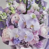 (分類:)位於 。 由 irisview 提交(商品編號 1465077309,圖片 1)。簡介: 。