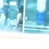 由 nibby04c (刊登 ID 1352587246，圖片 1) 提交，位於 的 (類別：)，說明：。