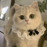 (分類:)位於 。 由 cat.banana 提交(商品編號 1457770523,圖片 1)。簡介: 。