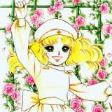 由 carolgogo (刊登 ID 1384783009，圖片 1) 提交，位於 的 (類別：)，說明：。