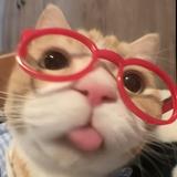 (Category: ) located in . Submitted by meowselling (Listing ID 1382241575, Image 1). Description: .