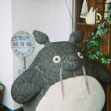 （分類：）位於 。 由 yyyyyycc 提交（商品編號 1336281415，圖片 1）。簡介： 。