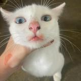 (Category: ) located in . Submitted by ammmmmmmmmmmmmmmm (Listing ID 1466173220, Image 1). Description: .
