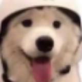 由 ogoose (刊登 ID 1383001760，圖片 1) 提交，位於 的 (類別：)，說明：。