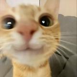 (Category: ) located in . Submitted by alexandraa28 (Listing ID 1384158402, Image 1). Description: .