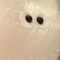(分類:)位於 。 由 amswingin59284 提交(商品編號 1412462779,圖片 1)。簡介: 。